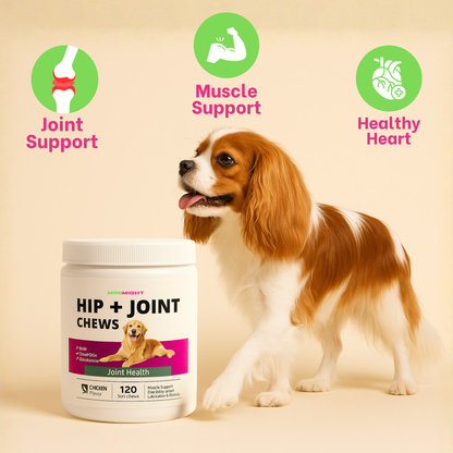MiniMight™ Joint Chews