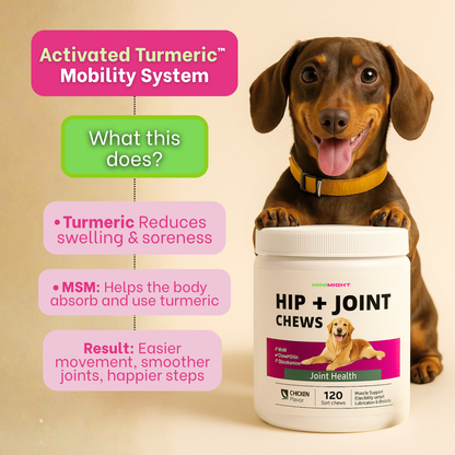 MiniMight™ Joint Chews