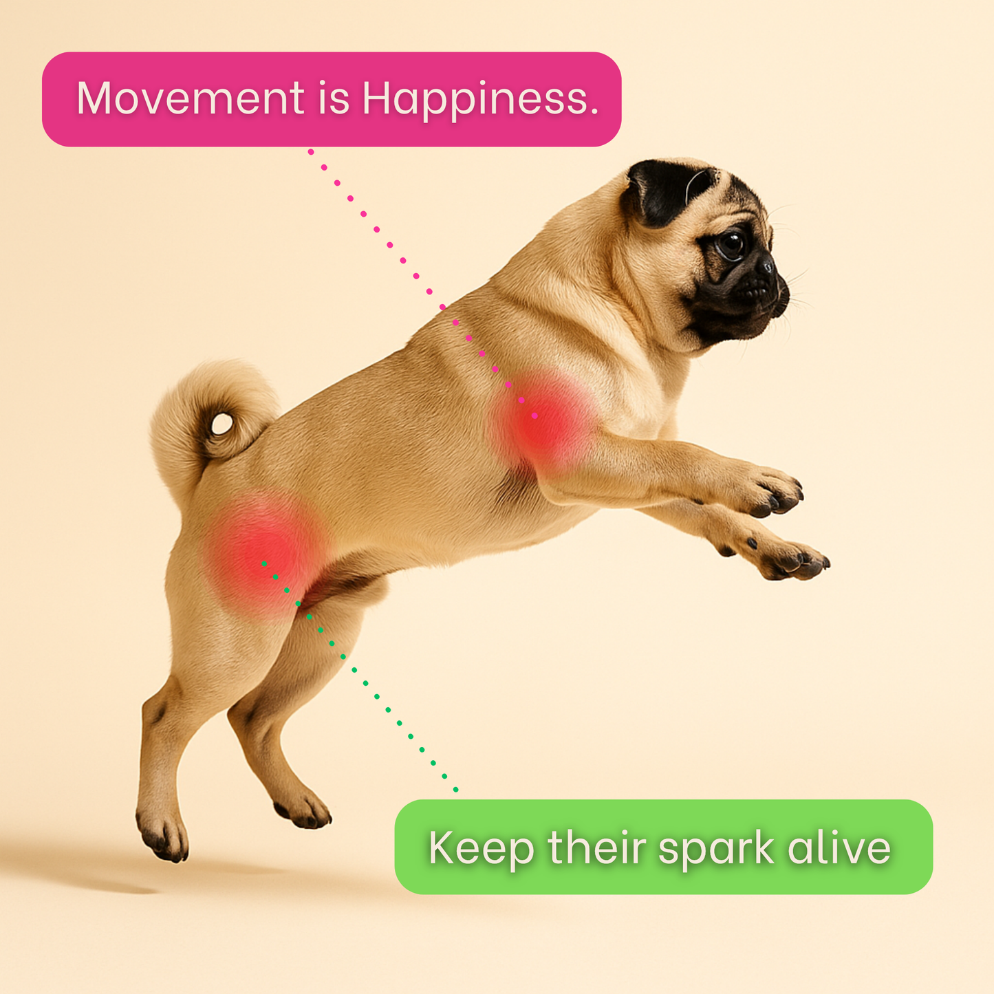 MiniMight™ Joint Chews