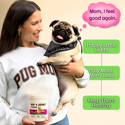 MiniMight™ Joint Chews